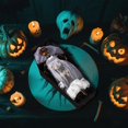 thumbnail image 3 of Decoraciones De Halloween: Accesorios De Ataúd Con Esqueleto Bailarín Para Decorar Fiestas, 3 of 6