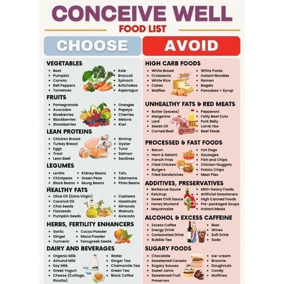 CONCEIVE WELL FOOD LIST Poster Canvas Wall Art for Decor poster