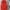 Red, variant on Cotton vest men's autumn and winter thickened warm hooded vest spliced vest Red 3X