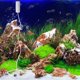 thumbnail image 4 of GOOHOCHY 1 juego de bomba de aire silenciosa para acuario, aireador de oxígeno para pecera, bomba de oxígeno con carga USB, 4 of 8