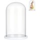thumbnail image 1 of Campana de cristal decorativa con base de madera blanca., 1 of 6