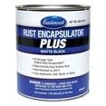 thumbnail image 1 of Encapsulador de Óxido Eastwood Plus Negro Mate 3,8 L, 1 of 7