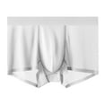 thumbnail image 1 of TSADFHJI Trunks Men Underwear Men's Ice Silk Stretch Mid Rise Comfortable Natural Silk Liner Crotch Briefs L Grey, 1 of 4