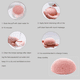 thumbnail image 4 of Seitruly Esponja de de maquillaje Facial, almohadilla blanqueadora de belleza Universal, accesorio de limpieza, salón profesional para el hogar Pinceles de maquillaje y herramientas Rosado Seitruly CE000442-02, 4 of 6