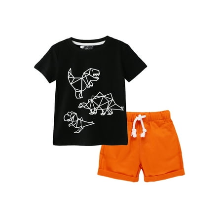 

Binwwede Little Boy’s Short-sleeved Shorts Set cute Dinosaur Round Neck Tops and Solid Color Short Pants MHX