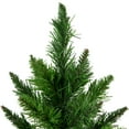 thumbnail image 4 of Northlight 2 FT Mini Balsam Pine Artificial Christmas Tree in Burlap Base, Unlit, 4 of 6