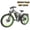 Black+Green, variant on Finder 26-ORLMS V3 26" Fat Tire Electric Bike for Adults, 2000W Peak, Up to 38 MPH，60V 25Ah Battery, LED Display, 7-Speed, Dual Suspension