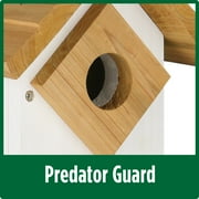 Wild Wings Farmhouse Cedar Bluebird House, White