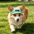 thumbnail image 4 of Gorro para perros con orificios para las orejas para Golden Retrievers – Gorro transpirable con protección solar para mascotas, ideal para paseos de verano., 4 of 6