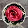  Fresh Cut Preserved Roses in a Sealed Glass Vase Long Lasting