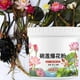 thumbnail image 5 of Fertilizante de agua Fertilizante de nenúfares Fertilizante de flores con nutrientes Estimulante eficaz de las flores Fertilizante rico en nutrientes Solución nutritiva para flores, 5 of 9
