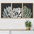 thumbnail image 2 of IDEA4WALL Framed Canvas Print Wall Art Set of 3 Desert Rose Echeveria Succulent Set Nature Plants Photography Modern Art Closeup Relax/Calm for Entryway, Bedroom, Office - 16"x24"x3 Natural, 2 of 5