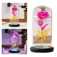 thumbnail image 4 of Forever Rose In Dome LED Lámpara Colorida Luz de Noche Decoración Del Hogar Flor Encantada para El Día de La Boda Regalo de Nad para Novia Y Niñas Rosa roja Sunnimix Rosa simulada, 4 of 8
