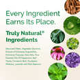 thumbnail image 5 of Tooth & Gums Tonic – Truly Natural Oral Rinse, Plant-Based, Alcohol-Free, Fluoride-Free, Herbal Extracts & Essential Oils, Fresh Breath & Daily Gum Care, 18 fl oz – Dental Herb Company, 5 of 11