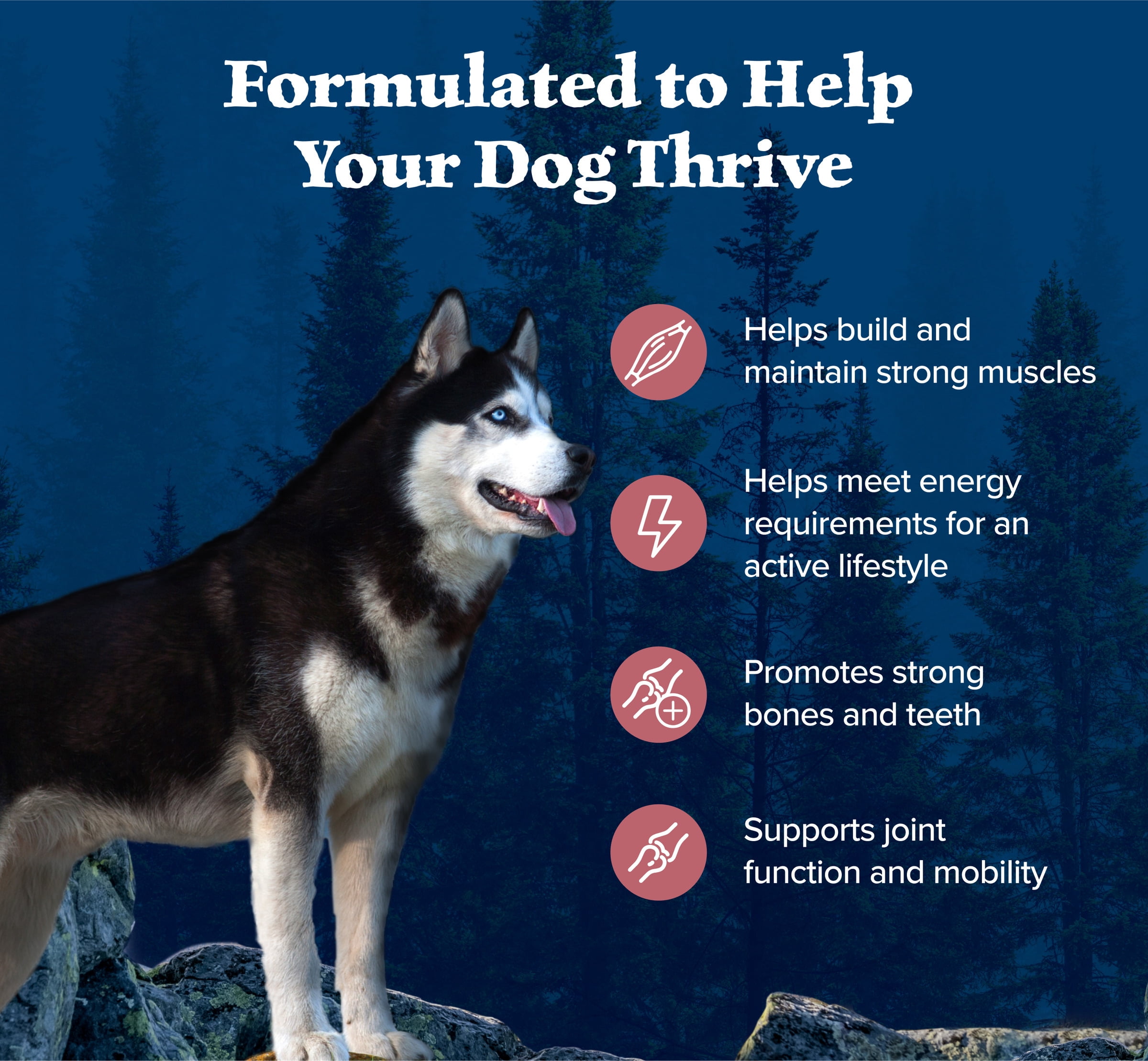 Blue Buffalo Wilderness Natural High-Protein Adult Dog Dry Food, Salmon Recipe, 4.5-lb.