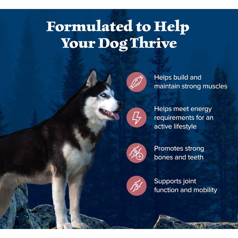 High-Protein Salmon Dry Dog Food for Adults photo 4
