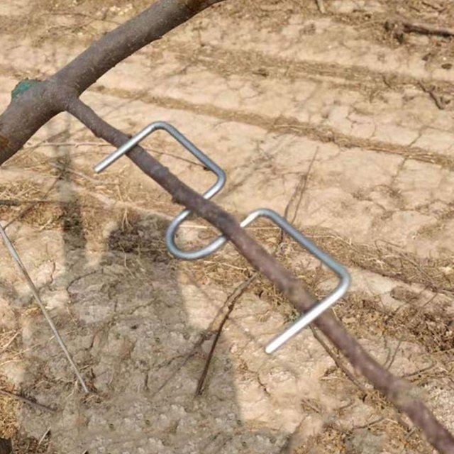 unbranded 40Ud Dispositivo Para Doblar Y Posicionar Ramas De Árbol Plateado Para