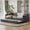 Gray, variant on Harper & Bright Designs Twin Size Upholstered Daybed with Trundle, Velvet Sofa Bed Frame with USB Charging, Dark Gray