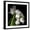 Black Frame, variant on Art.com Frayed Tulips Photographic Print by Magda Indigo, Brown Frame Wall Art, 21" x 21"