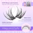 thumbnail image 2 of Kit de racimos de pestañas Lanflower Natural Wispy C curvado de 8 a 16 mm, 2 of 7