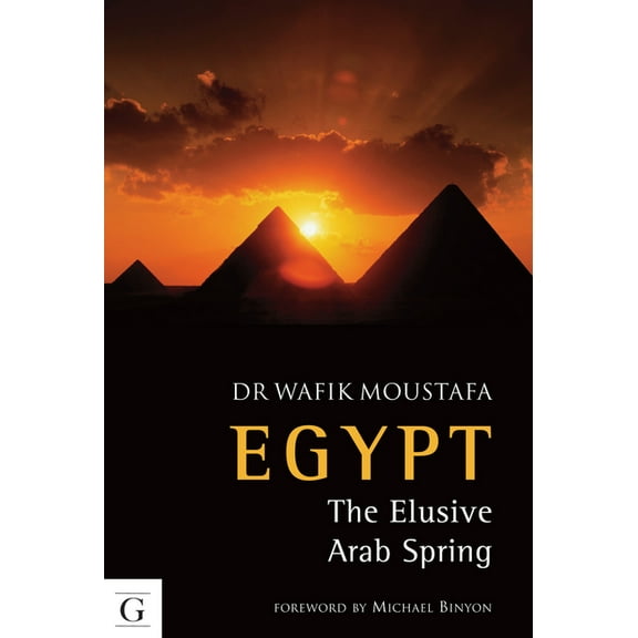 Egypt : The Elusive Arab Spring (Paperback)