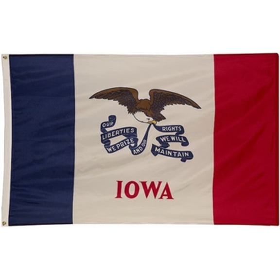 3x5' POLYWAVEZ IOWA POLY II FLAG CH&G
