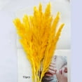 thumbnail image 5 of yotijay 15 Pieces Artificial Dried Pampas Grass Bunch Flower Arrangement Phragmites Yellow, 5 of 8