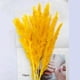 thumbnail image 5 of 15 flores de caña de fragmitas de hierba seca para accesorios de fotografía de de inauguración de , AMARILLO perfecl hierba de pampa seca, 5 of 8