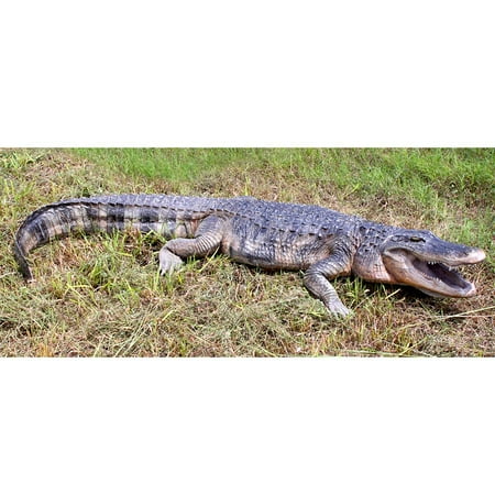 Stalking Swamp Preaditor: Alligator Garden Statue