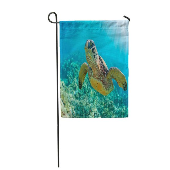 POGLIP Green Maui Sea Turtle Close Up Over Coral Reef in Hawaii Snorkel Swim Underwater Garden Flag Decorative Flag House Banner 12x18 inch