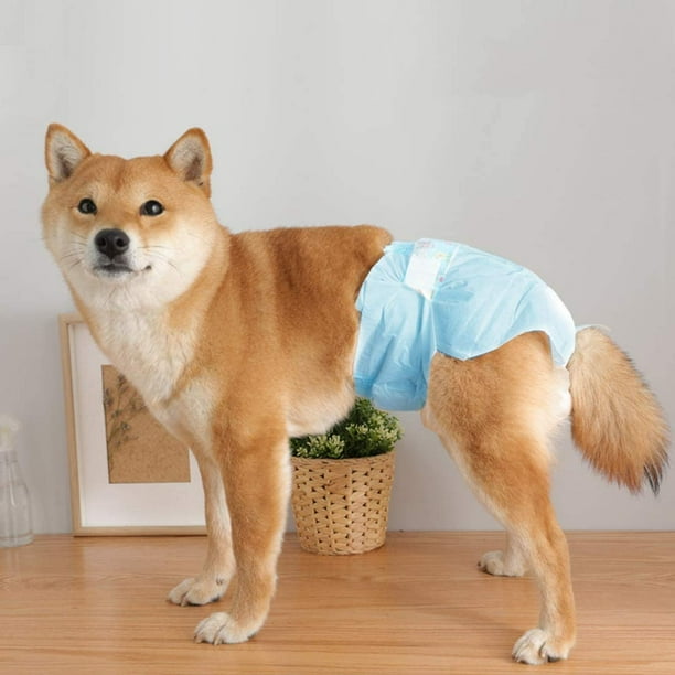 Walmart sales dog diapers