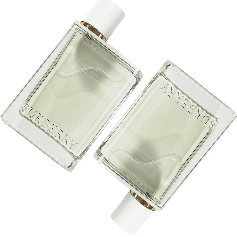 Burberry Her Eau De Toilette Natural Spray 100 ml / 3.3 oz