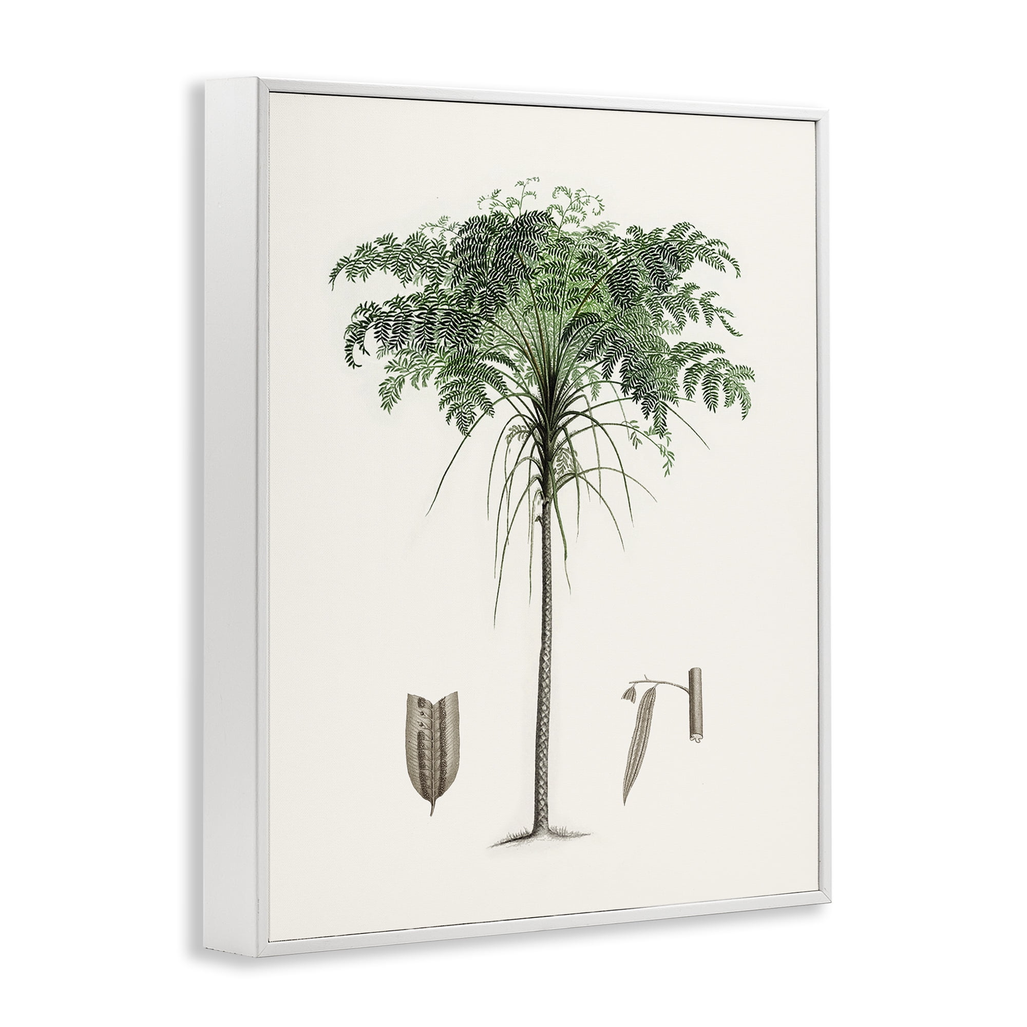 Stupell Industries Vintage Palm Leaves White Framed Giclee Art, design by Val Rhodes