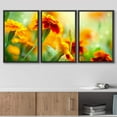 thumbnail image 3 of wall26 - 3 Piece Framed Canvas Wall Art - Tagetes Marigold Flower Autumn Flowers Background - Modern Home Art Stretched and Framed Ready to Hang - 24"x36"x3 Black, 3 of 5