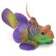 thumbnail image 2 of Simulación de pez rana, pecera de acuario, tanque de peces seguro, simulación de pez rana, decoración de paisaje, instalación sin esfuerzo Jadeshay  A, 2 of 8