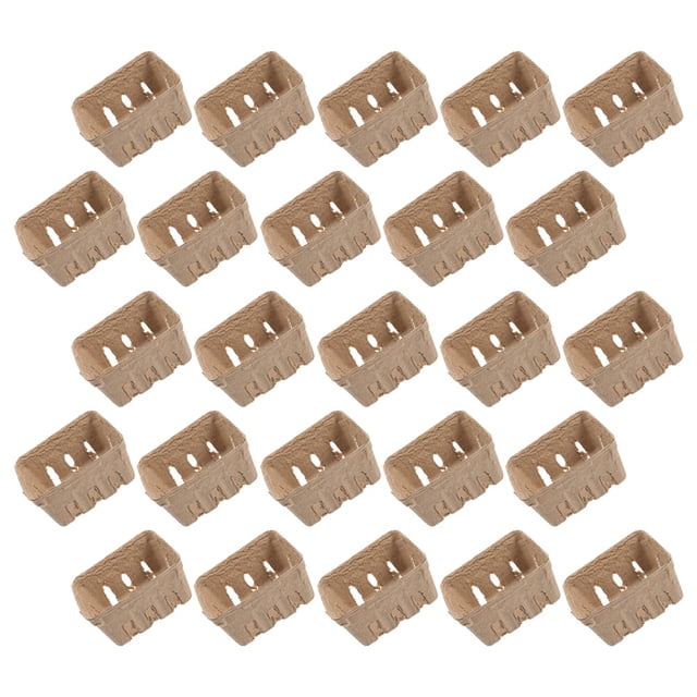 FOMIYES 40Ud De Pulpa Para Almacenamiento De Bayas Y Color Beige