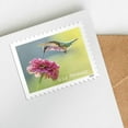 thumbnail image 5 of Garden Delights (Booklet of 20) First-Class Mail Forever Postage Stamps 2024 Scott 5845-5848, 5 of 9
