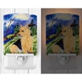 thumbnail image 2 of Caroline's Treasures SS8984CNL Norwich Terrier Ceramic Night Light, 6x4x3", multicolor, 2 of 2