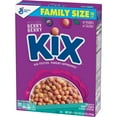 Berry Berry Kix Whole Grain Cereal (2 pk.)