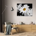 thumbnail image 3 of Vitaly Geyman 37x28 Gallery Wrapped Canvas Wall Art Titled - Daisy I BandW, 3 of 4