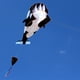 thumbnail image 4 of Cometa de orca sin marco, cometas voladoras de paracaídas para jardín, juguetes de vuelo al aire libre En blanco y negro, 4 of 7