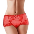 thumbnail image 1 of Gibobby Ropa interior hipster para mujer Braguitas bikini para mujer, cómodas, informales, para mujer, ropa interior encaje Hipster, sin costuras, sexy, cortes altos（Rojo， L), 1 of 4