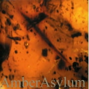 Amber Asylum - Frozen in Amber - Music & Performance - CD