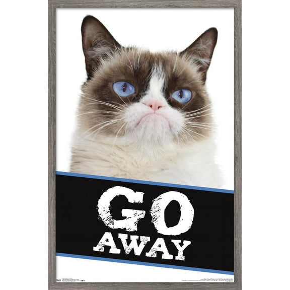 Grumpy Cat - Go Away Wall Poster, 22.375" x 34", Framed