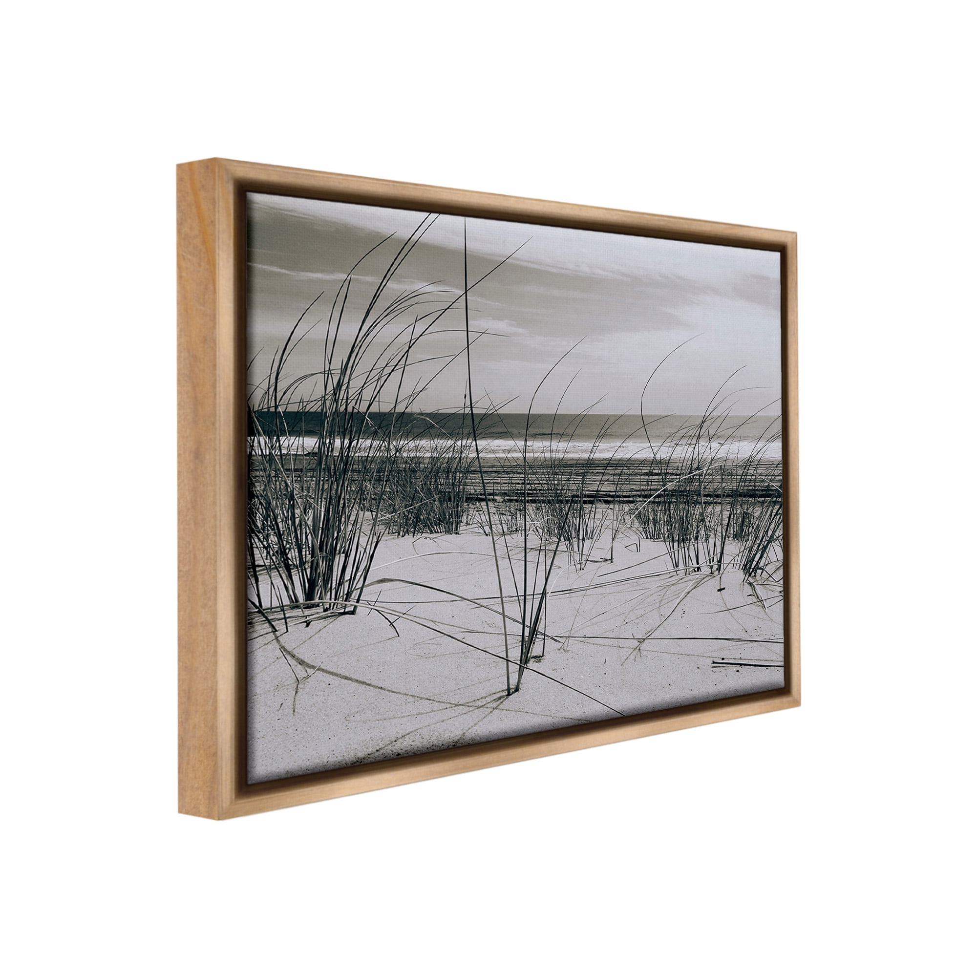 Stupell Industries Subtle Beach Reeds Landscape Photography Brown Floater Framed Canvas Art Print Wall Art, 31 x 25