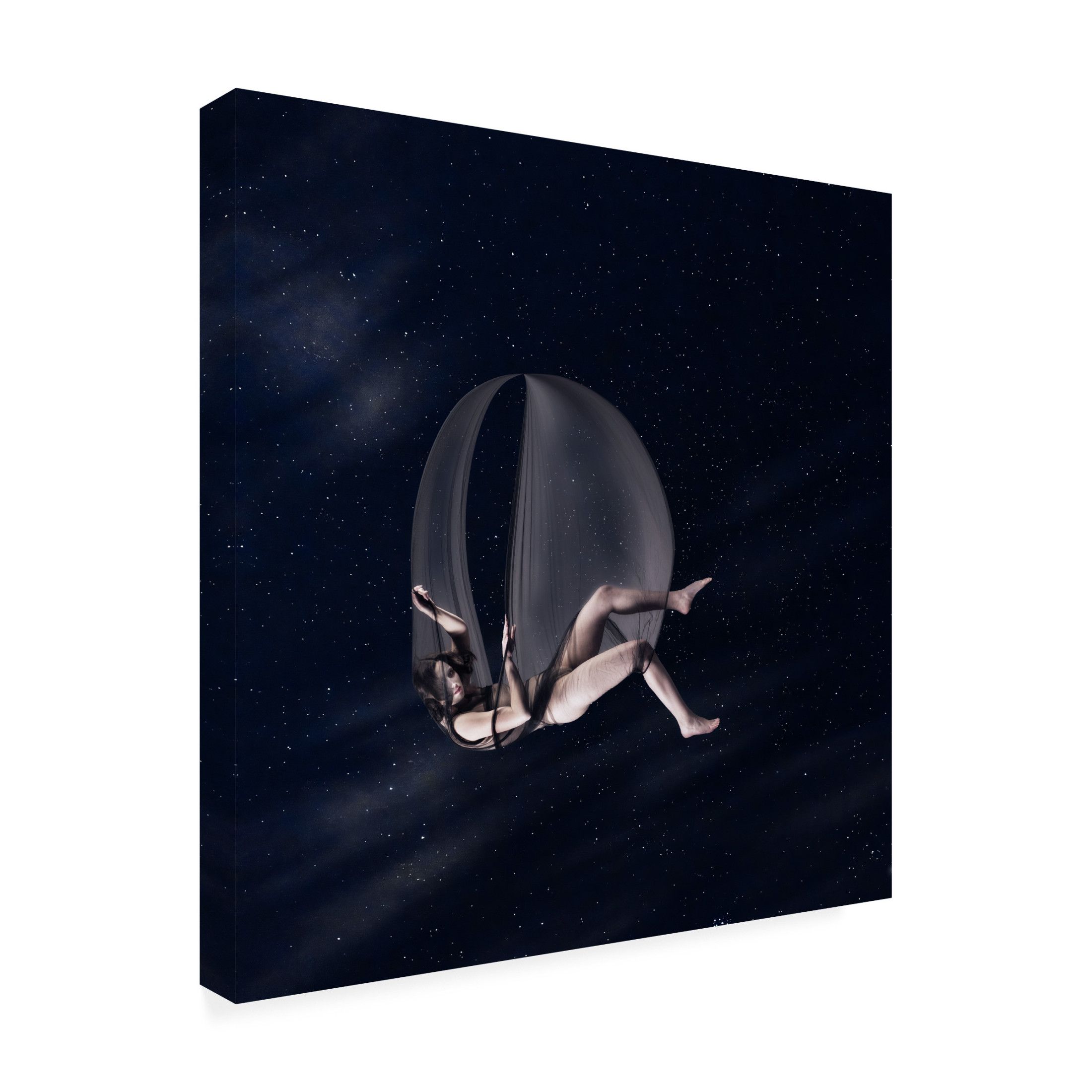 Trademark Fine Art Axel K. Schoeps Abeyance Canvas Wall Art