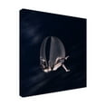 thumbnail image 2 of Trademark Fine Art Axel K. Schoeps Abeyance Canvas Wall Art, 2 of 4