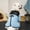 V, variant on Upgraded Pet Dog Clothes Cats Supplies Autumning And Winter Polars Fleece Warm Four Legged Fleece Can Be Traction T