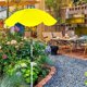 thumbnail image 1 of Sombrilla para plantas de exterior, cubierta de sombra decorativa, fácil de instalar, ajustable, para jardín, parterres de interior Amarillo, 1 of 8