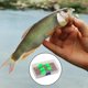 thumbnail image 3 of Juego de moscas atadas, aparejos de trucha, Streamer, moscas con giratoria/lanzador, señuelo , cebo Artificial, de moscas F Baoblaze Surtido de moscas de pesca, 3 of 8